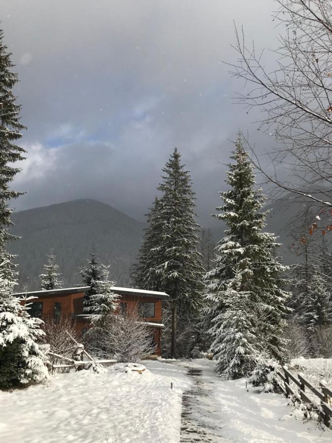 Inmount Holiday home Tatariv